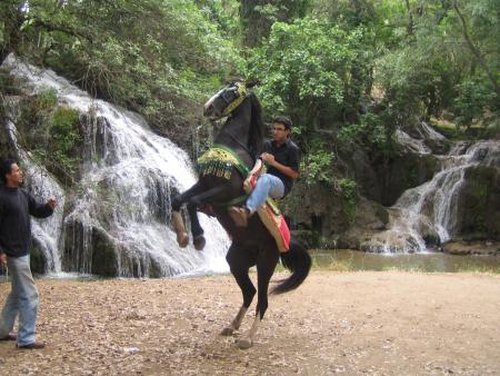 moi a ifrane