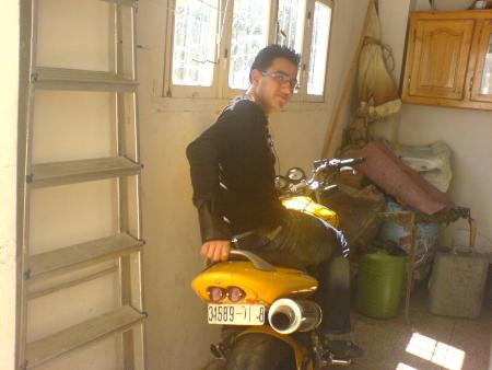 hornet 900